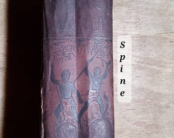 The Savage World Natural History Book 1889 HC Plates Creatures Reptiles Insects Birds Mammals
