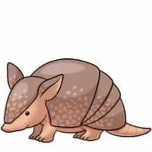 May include: A cartoon illustration of an armadillo. The armadillo is depicted in shades of brown and tan, with a segmented shell and small ears. The image has a simple, clean style, suitable for children's books or educational materials.