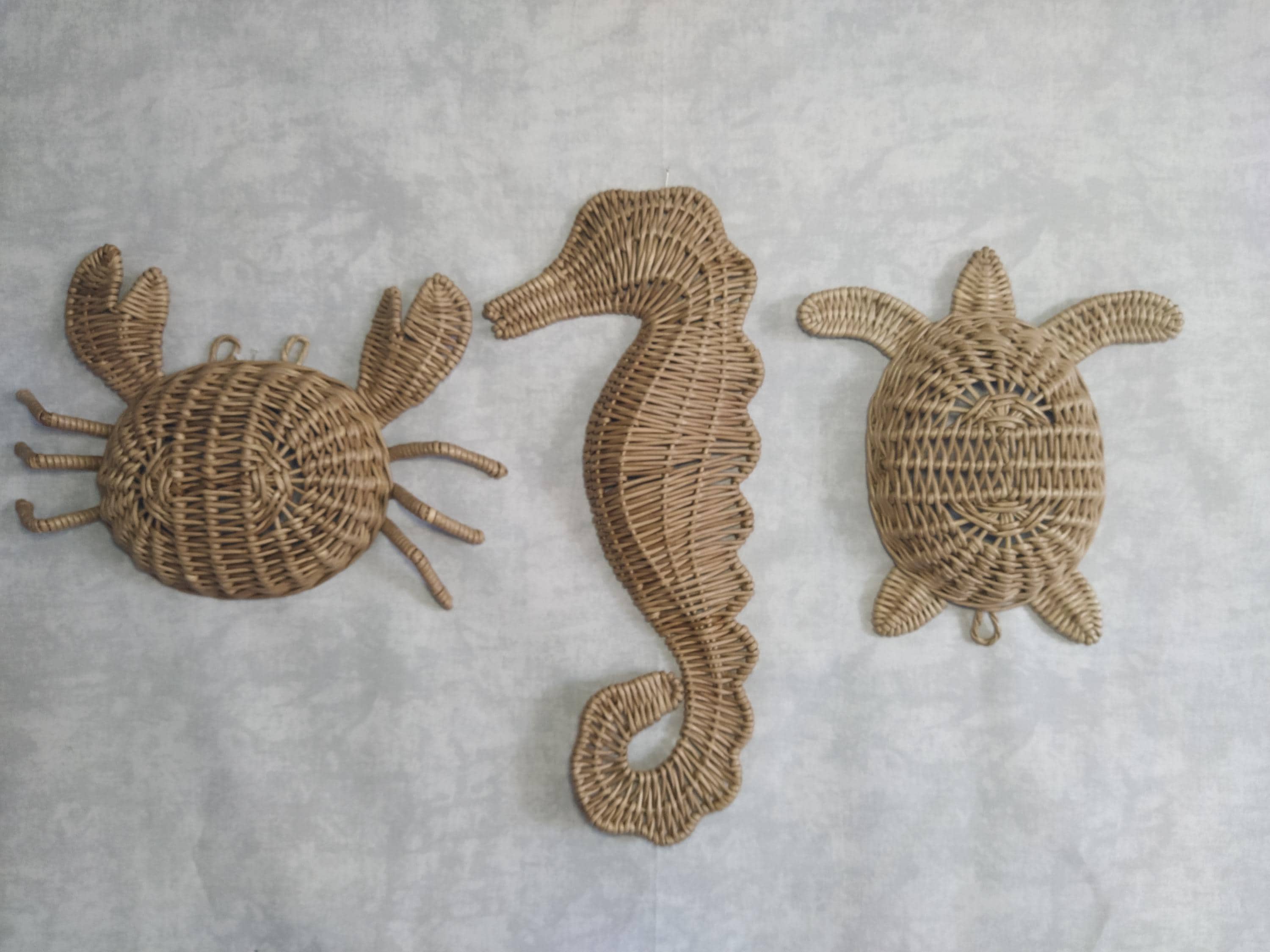 【タグあり】 turtle seahorse il_fullxfull.6381707892_jfiv.jpg
