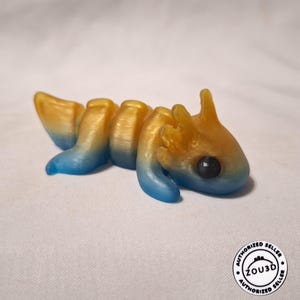 Könnte beinhalten: Eine kleine, bewegliche Axolotl-Figur mit einem Farbverlauf von metallischem Gold am Kopf und Oberkörper zu einem leuchtenden Blau am Unterkörper und Schwanz. Sie hat große, dunkle, runde Augen und sichtbare äußere Kiemen.