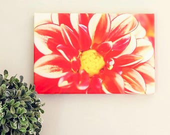 Dahlia Canvas | Floral Wall Art | Pink Flower Canvas Print