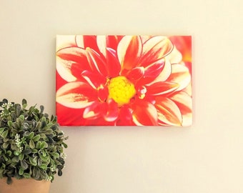 Dahlia Canvas | Floral Wall Art | Pink Flower Canvas Print