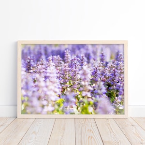 May include: A framed print featuring a field of purple flowers in full bloom. The flowers are in soft focus, creating a dreamy effect. The frame is a light wood color, and the print is displayed on a wooden floor.
