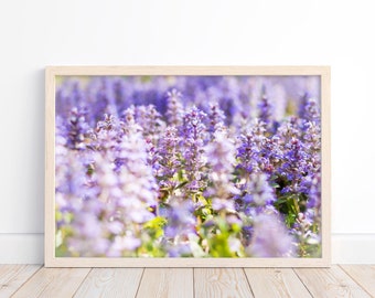 Wildflower Dreams Fine Art Print | Floral Nature Photography | Purple Flowers Picture | Spring Wall Art