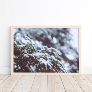 Snowy Branches Fine Art Print | Winter Tree Photography | Christmas Season Wall Art