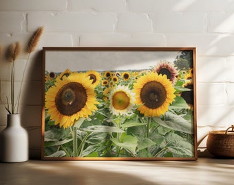 Sunflower Farm Fine Art Print | Sunflower Photography | Floral Wall Art | Farm House Decor