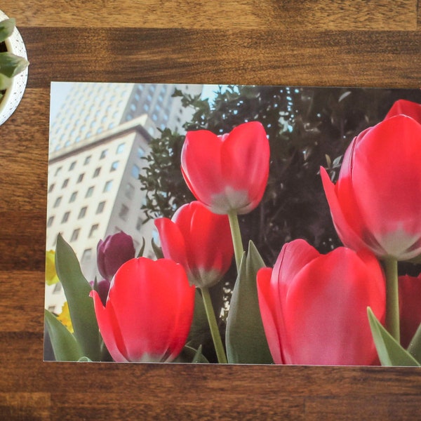 City In Bloom Greeting Card | Red Tulips Photography | Springtime Blank Card