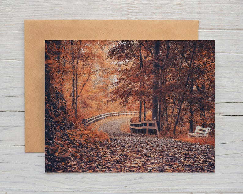 Autumn Scenes Note Card Set | Fall Foliage Photography | Halloween ...