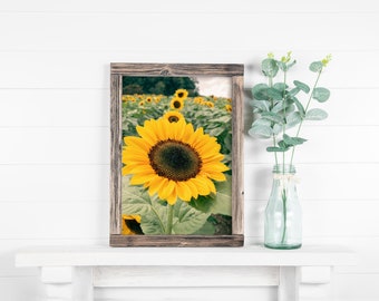 Sunflower Row Fine Art Print | Sunflower Field Photography | Farm House Decor | Floral Wall Art