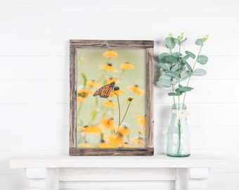Butterfly and Black-Eyed Susans Fine Art Print | Floral Nature Photography | Butterfly Wall Art