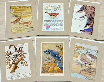 Vintage Birds Cards | Upcycled Book Pages