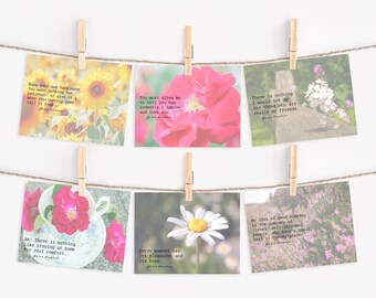 Jane Austen Note Cards | Austen Novels Card Set | Literary Gift