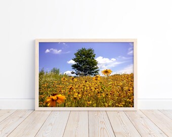 Summer Bliss Fine Art Print | Black Eyed Susans Photography | Flower Field Picture | Pennsylvania Nature