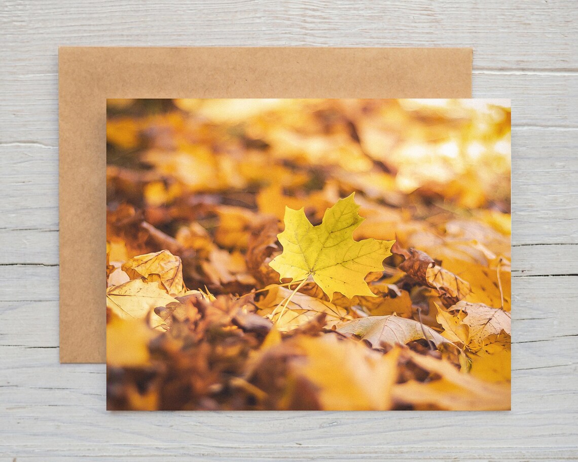Autumn Scenes Note Card Set | Fall Foliage Photography | Halloween ...