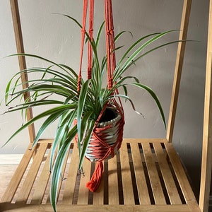May include: A spider plant in a white and orange macrame hanging planter. The plant is hanging from a wooden shelf.