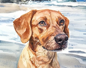 Puede incluir: Una pintura de acuarela de un perro marrón y blanco sentado en una playa. El perro tiene ojos marrones y la nariz húmeda. El fondo es una imagen borrosa del océano y la arena.