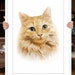 see more listings in the Cat Portraits section