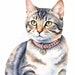 see more listings in the Portraits de chats section