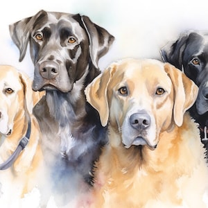 Può includere: Dipinto ad acquerello di quattro cani. Due Labrador Retriever neri e due Labrador Retriever gialli. I cani guardano lo spettatore.