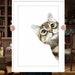 Custom cat portrait Custom pet portrait Cat portrait Cat memorial Portrait from photo Custom cat painting Cat lover gift Pet loss gift 