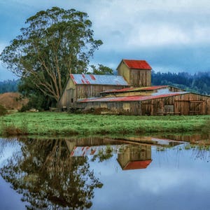 Barn in Eureka California