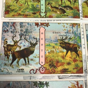 Vintage reclamekaarten herten ca. 1880 set van ACHTTIEN//rams,sheep,buffalo antieke advertentiekaarten//Victoriaanse handelskaart//antieke Duitse handelskaarten
