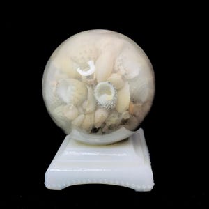 Op de afbeelding: Een heldere glazen bol gevuld met diverse schelpen, rustend op een witte, vierkante basis. De schelpen zijn in tinten wit, beige en bruin. De basis heeft een parelrand en een gebogen ontwerp.