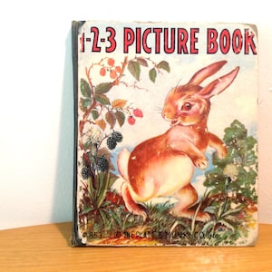1-2-3 Picture Book