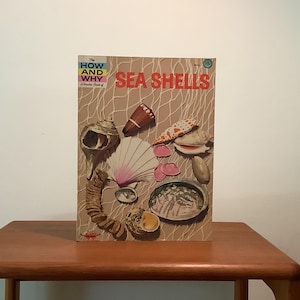 The How and Why Wonder Book of Sea Shells