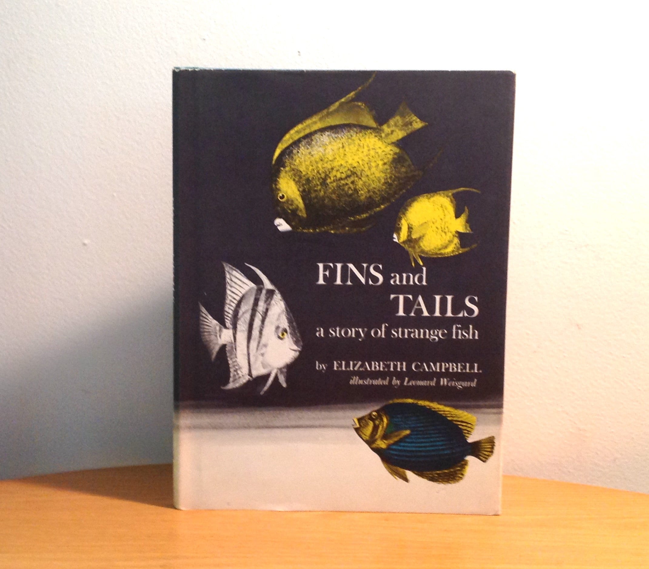 Fins And Tails A Story Of Strange Fish Etsy.de