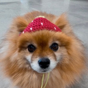 Strawberry Pet Crochet Hat Pattern