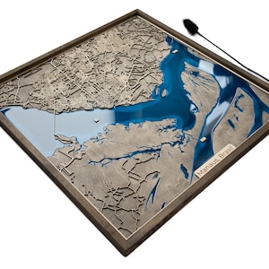Manaus Map | Wood and Epoxy