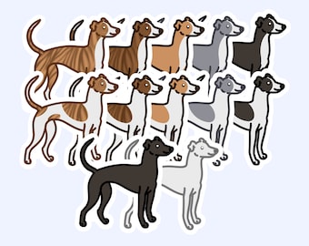 Greyhound Dog Sticker - Vinyl Sticker - Waterproof/Weatherproof - 3" Laptop Sticker - Water bottle Sticker