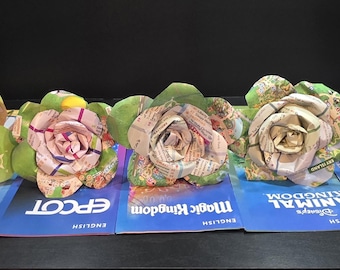 5 Walt Disney World Parks Rose Collection Luxury Collector Set