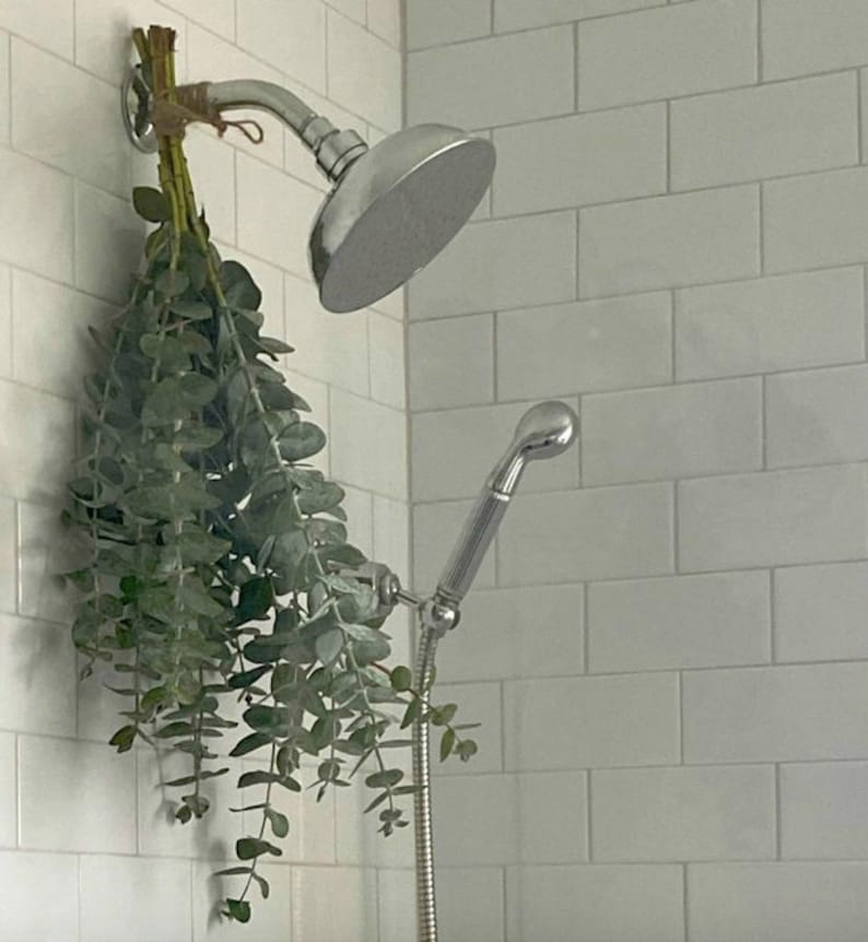 Fresh Eucalyptus Shower Bundle Aromatherapy Spa Shower True Etsy