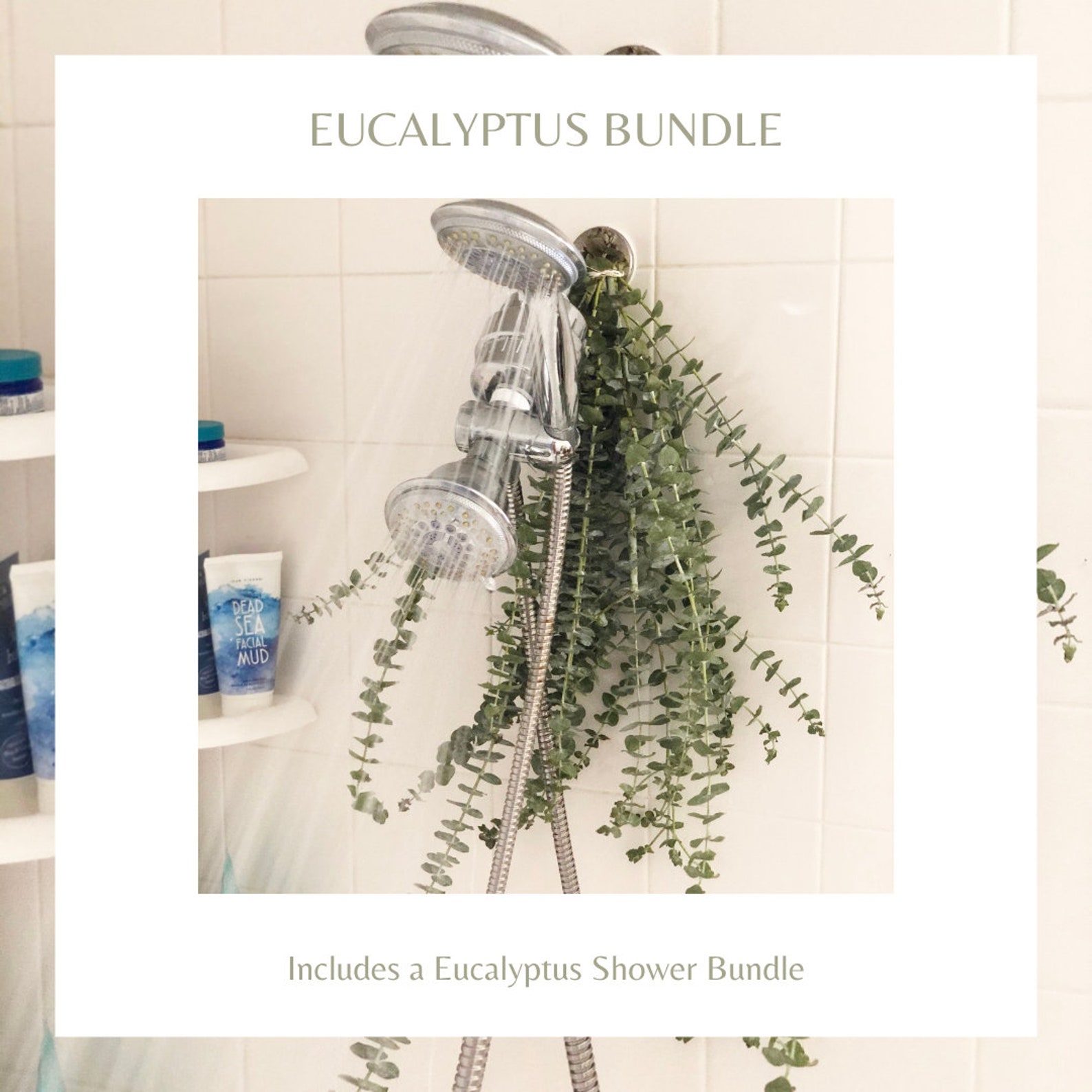 Fresh Eucalyptus Shower Bundle Spa Shower Hanging - Etsy