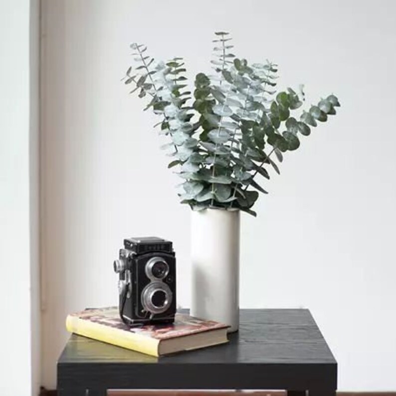 Baby Blue Eucalyptus True Blue Eucalyptus Vase Filler Home Etsy