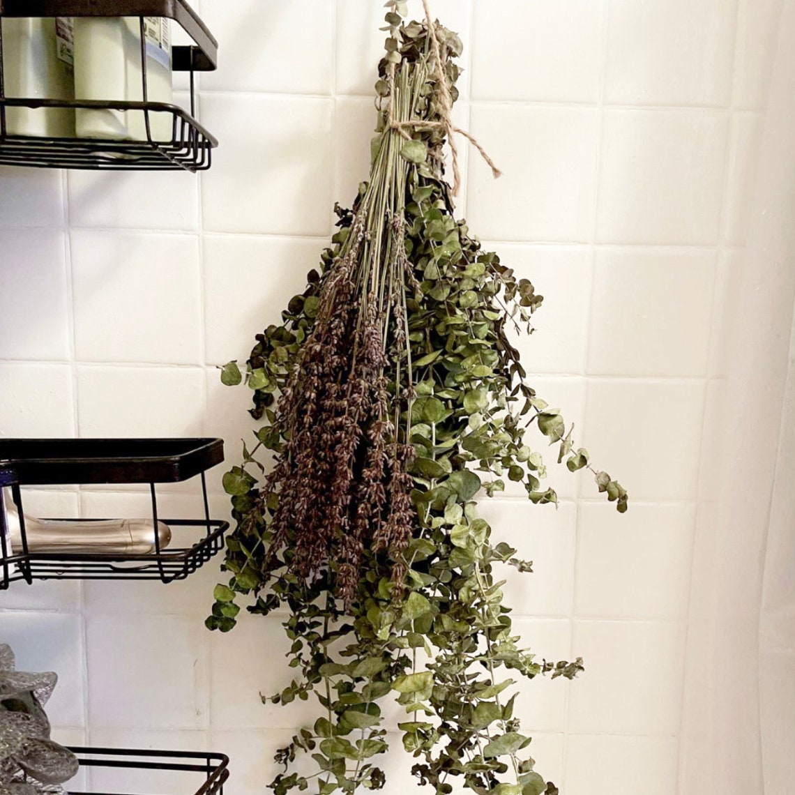 Fresh Eucalyptus Shower Bundle Spa Shower Hanging Etsy