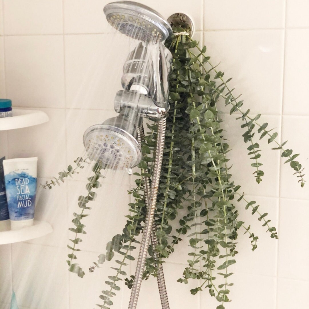 Fresh Eucalyptus Shower Bundle Spa Shower Hanging - Etsy