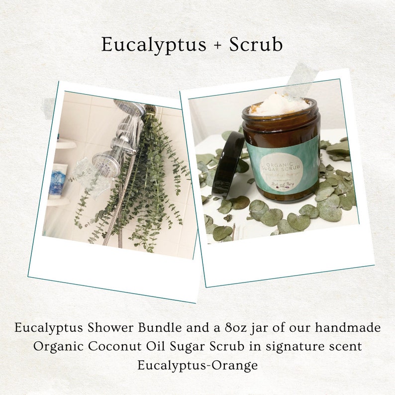 Fresh Eucalyptus Shower Bundle Aromatherapy Spa Shower True Etsy