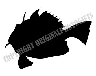 Download Angler Svg Etsy