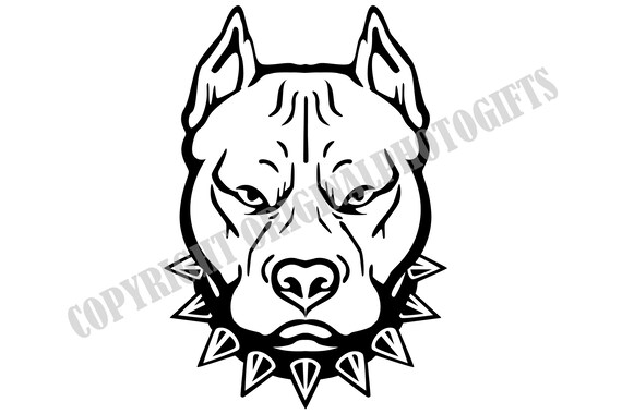 Pit Bull 1 American Pit Bull Svg Angry Pitbull Svg Dog - Etsy