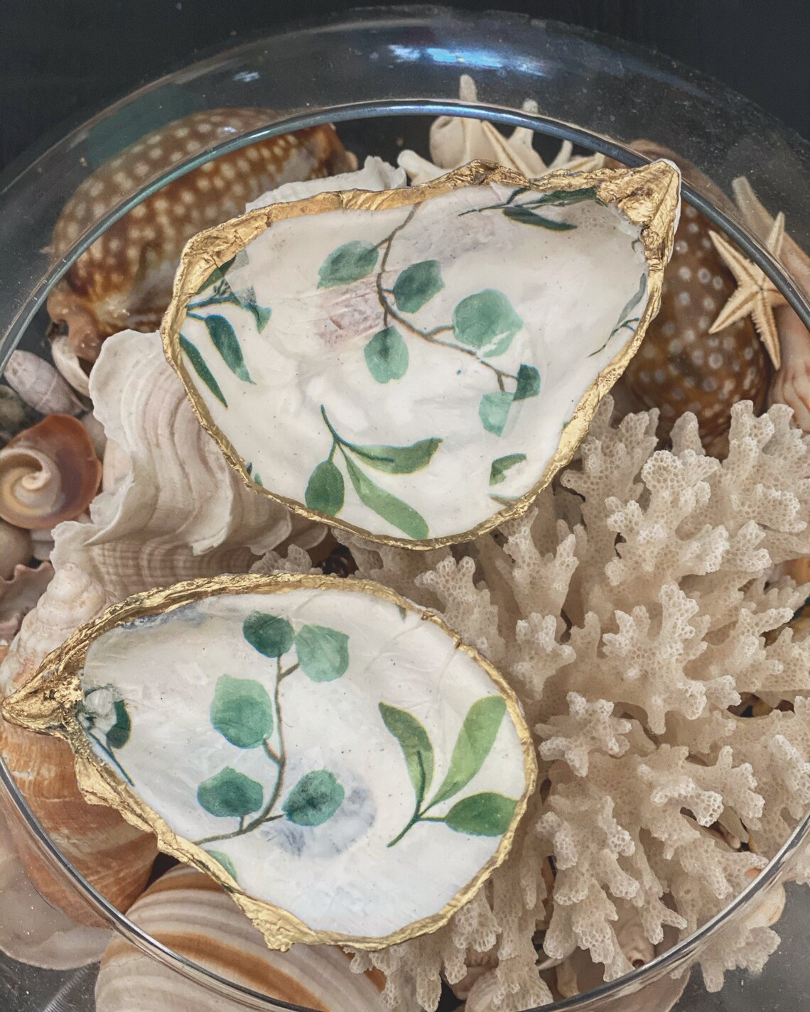 Aromatherapy Collection Oyster Shell Ring & Knickknack Holder Etsy