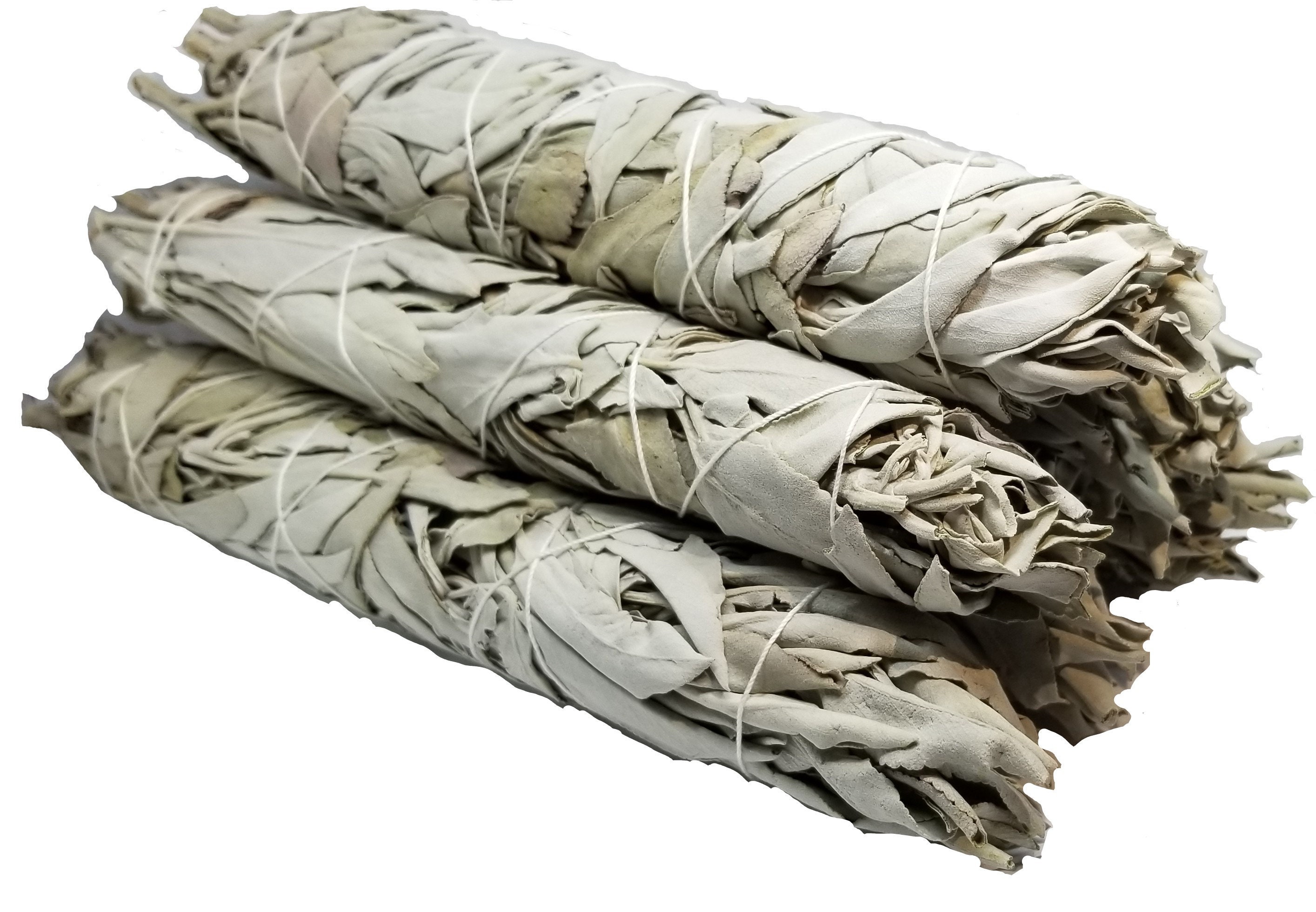 California White Sage Bundle for Smudging Reiki Energy | Etsy