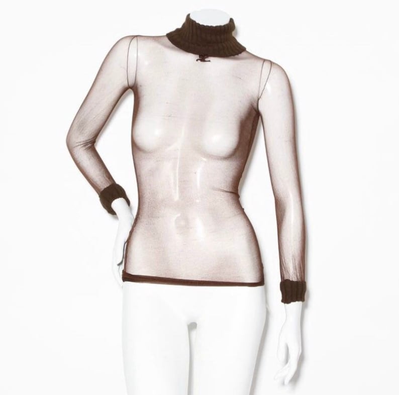 May include: A brown sheer turtleneck top with a knit collar and cuffs. The top is made of a fine mesh fabric and has a fitted silhouette.