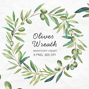 Corona di acquerelli - corona di invito per matrimonio digitale - ramo di ulivo - PNG - testo - clipart di foglie di ulivo botanico verde