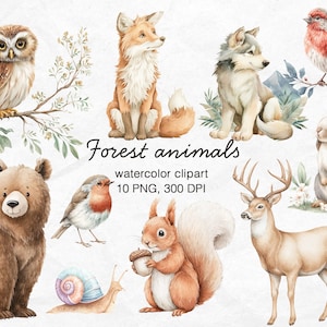 Cute Woodland Animal Clipart - Watercolor - Nursery Clipart - Forest Animals Png - Commercial Use-DIGITAL print - Kid&#39;s Clipart - woods