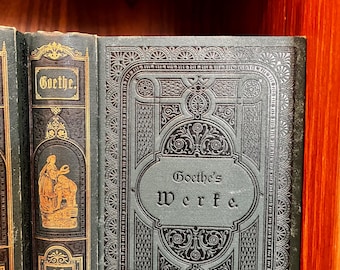 Antique Goethe's Works (werfe) German Bookset, 1875, 10 Volumes