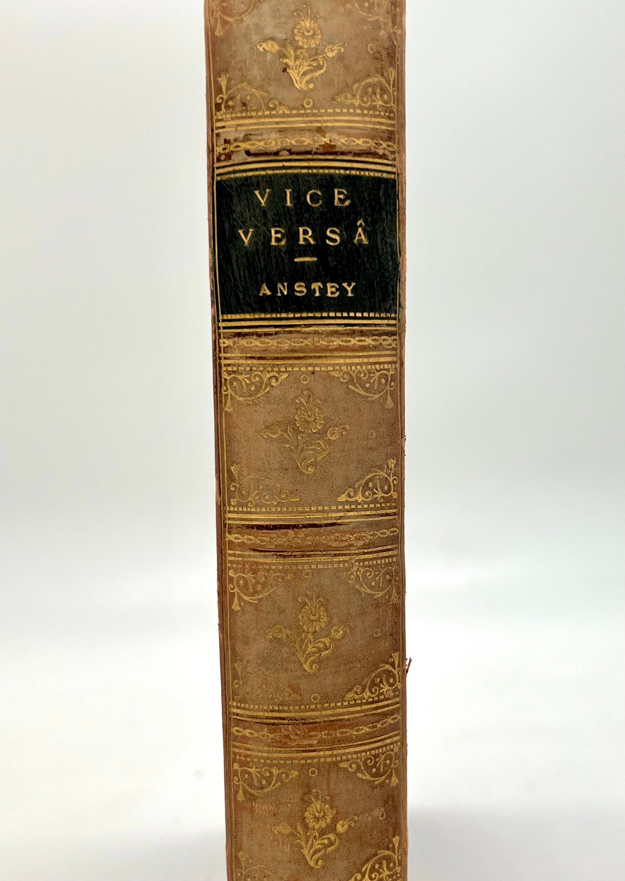 Antique Leather (1882) Vice Versa by F Antsey in Custom Leather Book ...