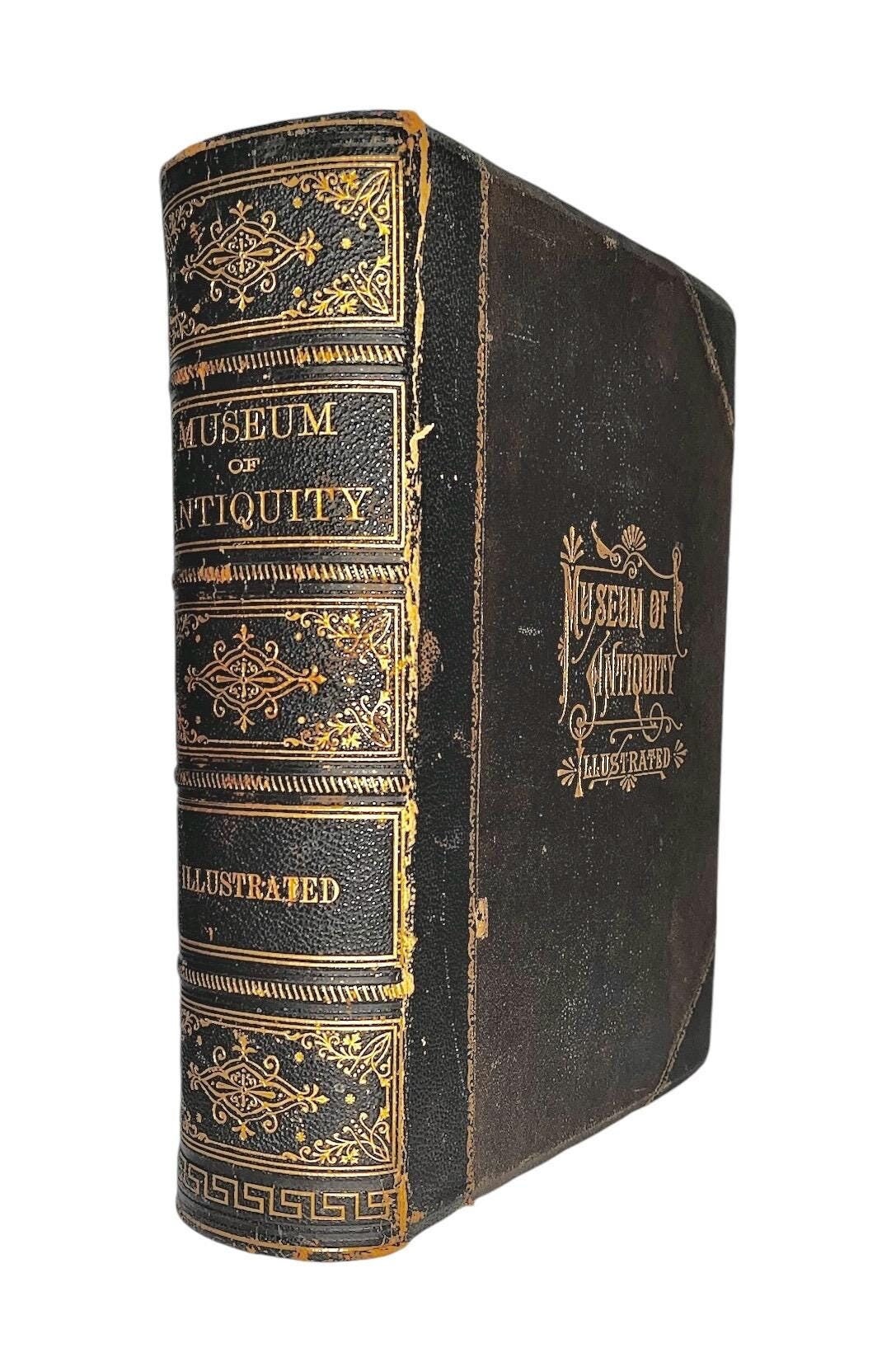 Antique Leather MUSEUM OF ANTIQUITY Illustrated , 1881 1st Ed